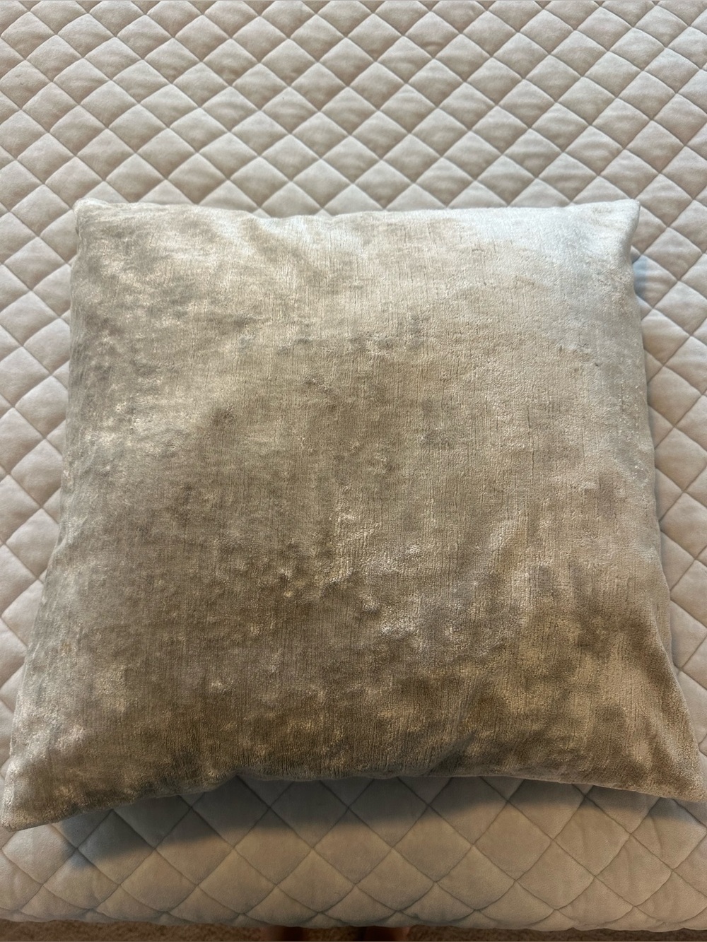 Plush Metallic Silver Throw Pillow